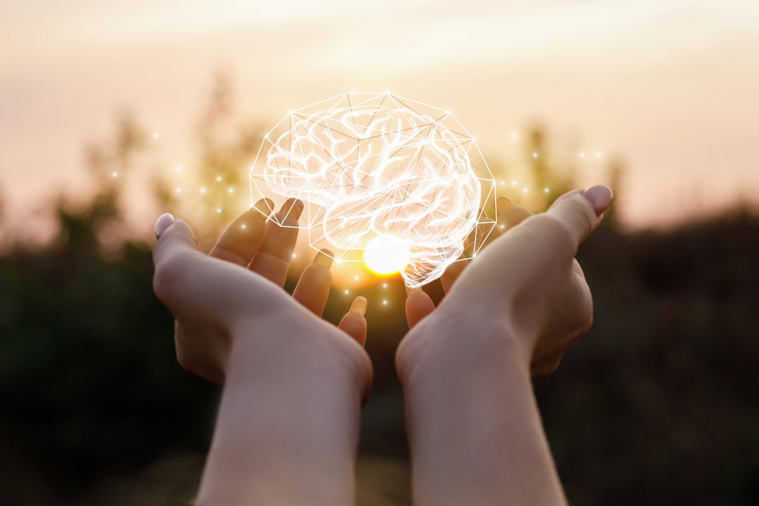 Female hand shows the brain in the sun.