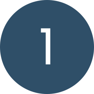 blue 1 Icon 500x500px